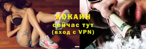 спиды Инсар