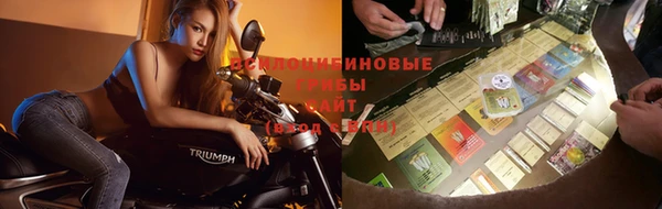 спиды Инсар