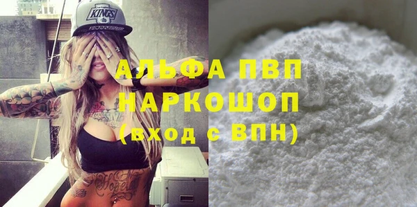 спиды Инсар