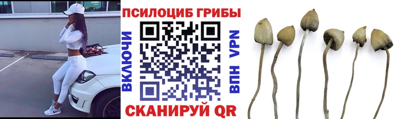 Купить закладки  Новосокольники  Галлюциногенные грибы ЛСД 